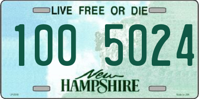 NH license plate 1005024