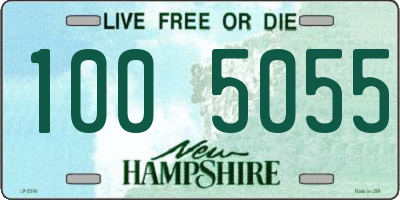 NH license plate 1005055