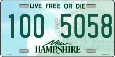 NH license plate 1005058