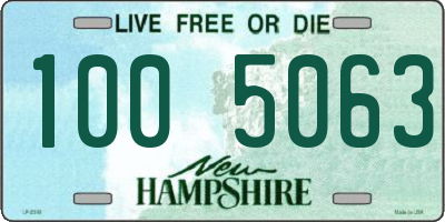 NH license plate 1005063