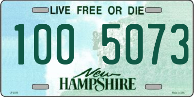 NH license plate 1005073