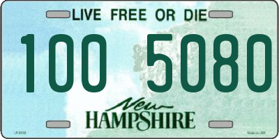 NH license plate 1005080