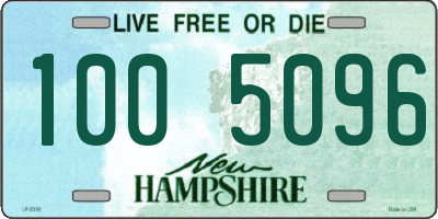 NH license plate 1005096