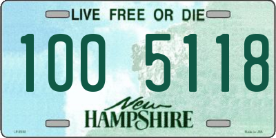 NH license plate 1005118