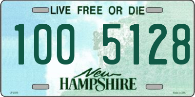 NH license plate 1005128