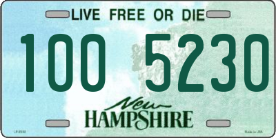 NH license plate 1005230