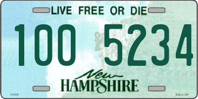 NH license plate 1005234