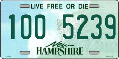 NH license plate 1005239