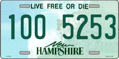 NH license plate 1005253
