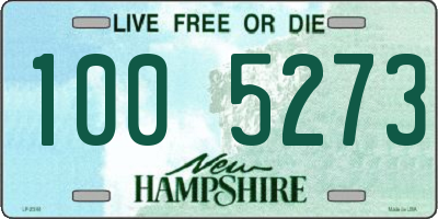 NH license plate 1005273