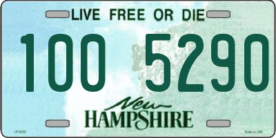 NH license plate 1005290