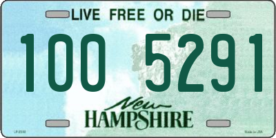 NH license plate 1005291