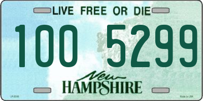 NH license plate 1005299