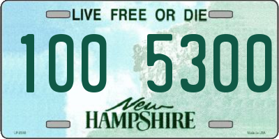 NH license plate 1005300