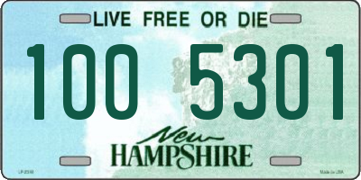 NH license plate 1005301