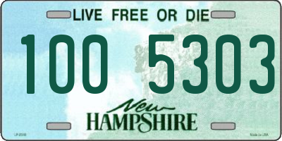 NH license plate 1005303