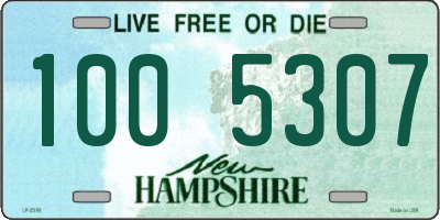 NH license plate 1005307