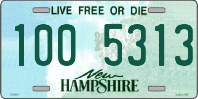 NH license plate 1005313