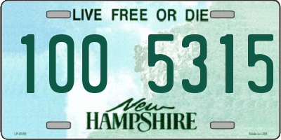 NH license plate 1005315