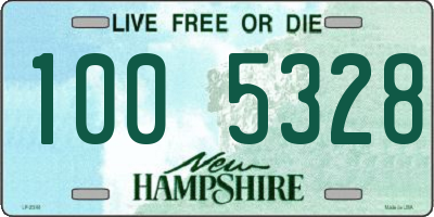 NH license plate 1005328