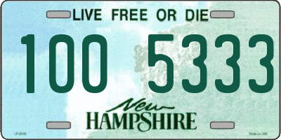 NH license plate 1005333