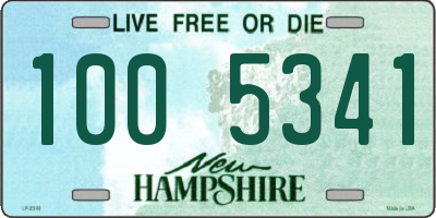 NH license plate 1005341