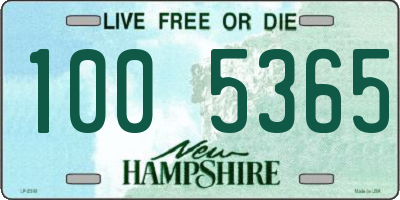 NH license plate 1005365