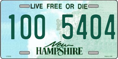 NH license plate 1005404