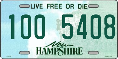 NH license plate 1005408