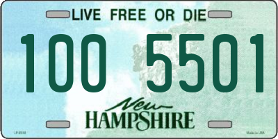 NH license plate 1005501