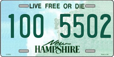 NH license plate 1005502