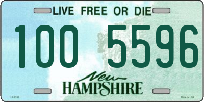 NH license plate 1005596