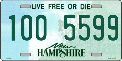 NH license plate 1005599