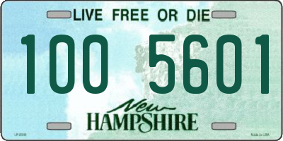 NH license plate 1005601