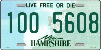 NH license plate 1005608