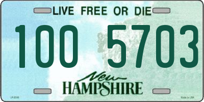 NH license plate 1005703