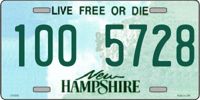 NH license plate 1005728