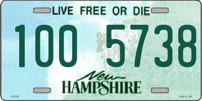 NH license plate 1005738