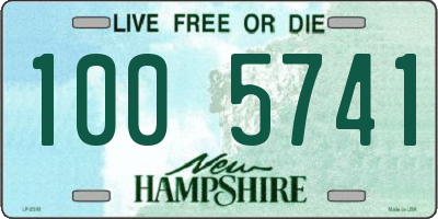 NH license plate 1005741