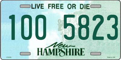 NH license plate 1005823