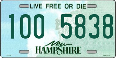 NH license plate 1005838