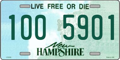 NH license plate 1005901