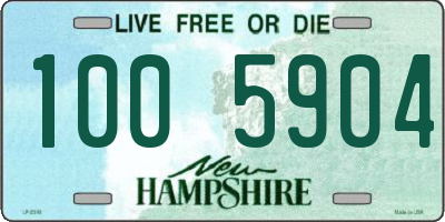 NH license plate 1005904