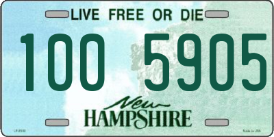 NH license plate 1005905