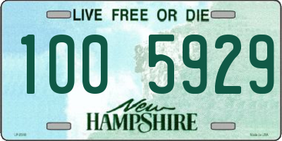 NH license plate 1005929