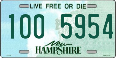 NH license plate 1005954