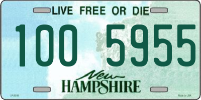 NH license plate 1005955