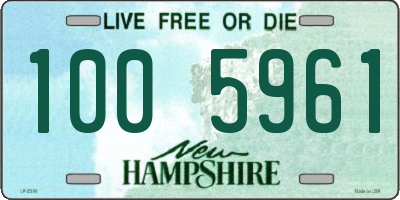 NH license plate 1005961