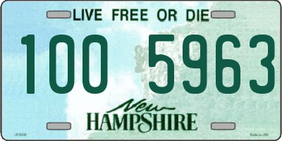 NH license plate 1005963