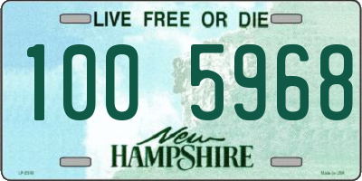 NH license plate 1005968